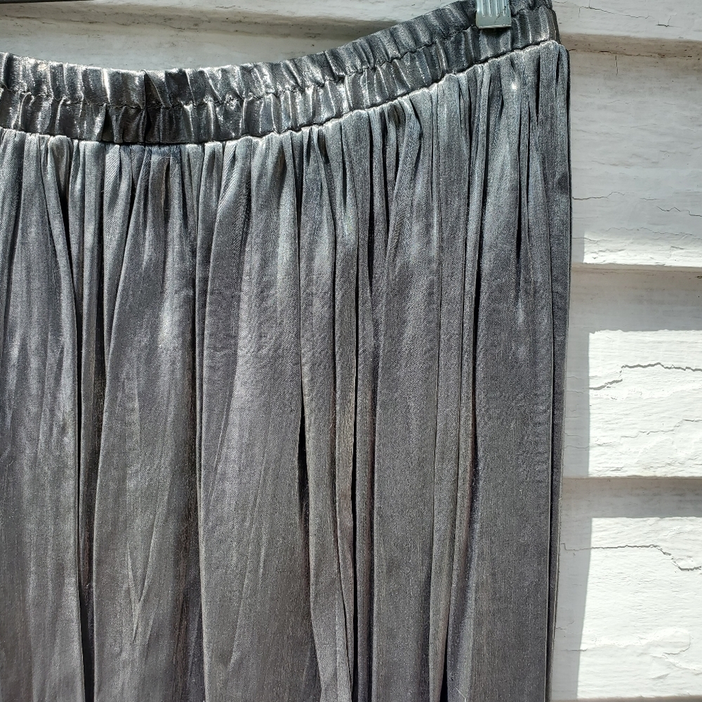 Karin Stevens Silver Skirt